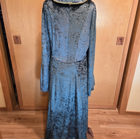 Disney Hocus Pocus Winifred Sanderson Cosplay Costume Dress Adult Womens 2X - Picture 3 of 8